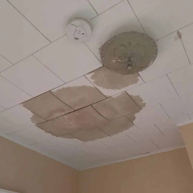 Ceiling Water Damage Repair in Hinckley, MN