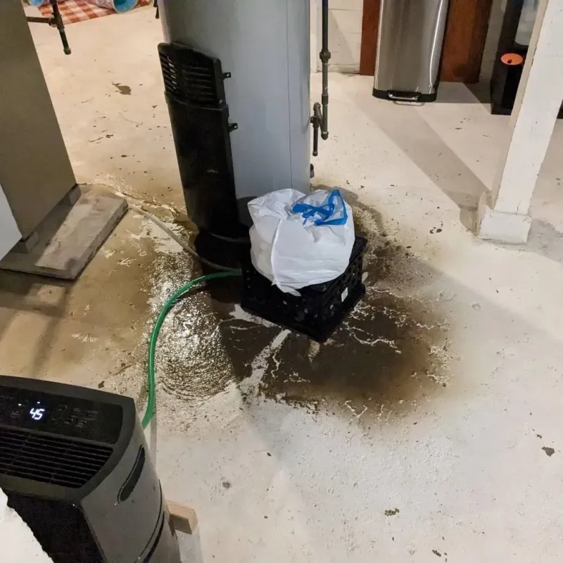 Sewage Backup Cleanup Service in Hinckley, MN
